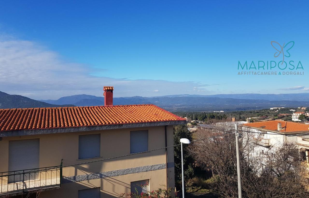Affittacamere Mariposa Dorgali Dış mekan fotoğraf